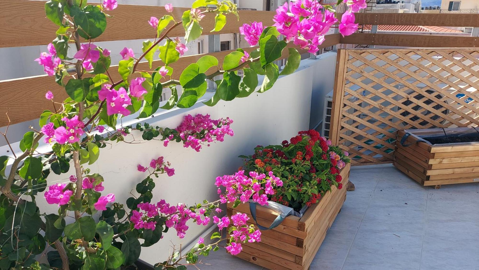 The Little Big Apartment In The Heart Of Heraklion Exteriér fotografie