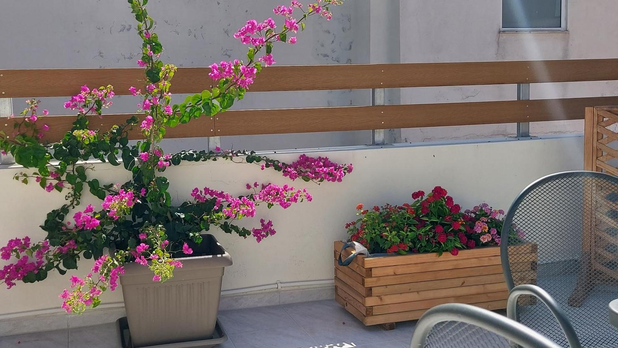 The Little Big Apartment In The Heart Of Heraklion Exteriér fotografie